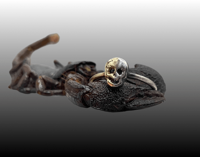 Chimera 9ct Yellow Gold and Sterling Silver Skull Ring with Black Diamond